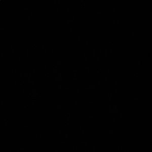 Meet your Posher, Maddy